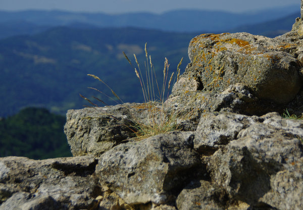 Outward view