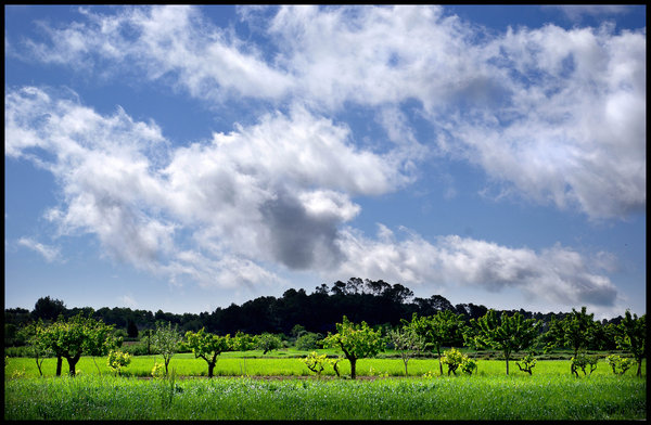 Passing Clouds