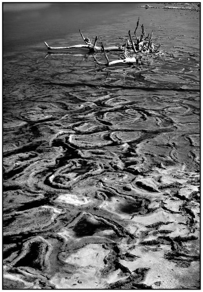 Salt Flats