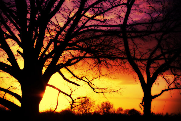 Sunset in Perivale