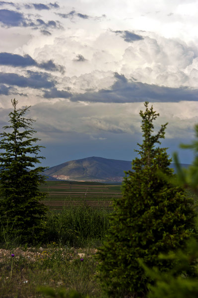 The Hill Behind