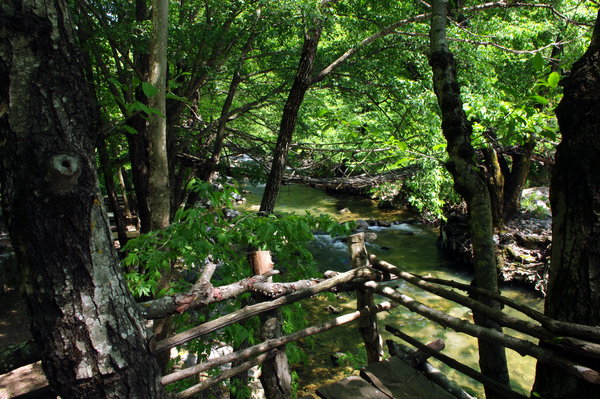 The Old Suspension Bridge