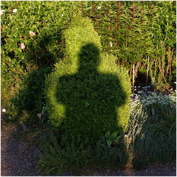 The Shadow