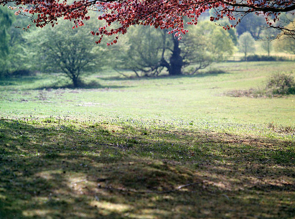 Weald Country Park -very OLD FILM!