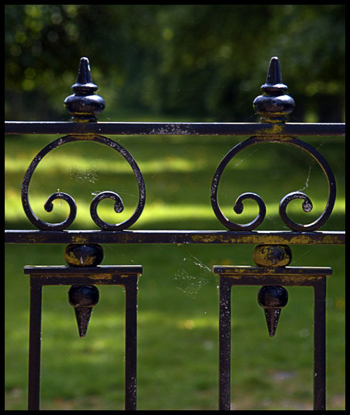 Wrought Iron Gate, Detail