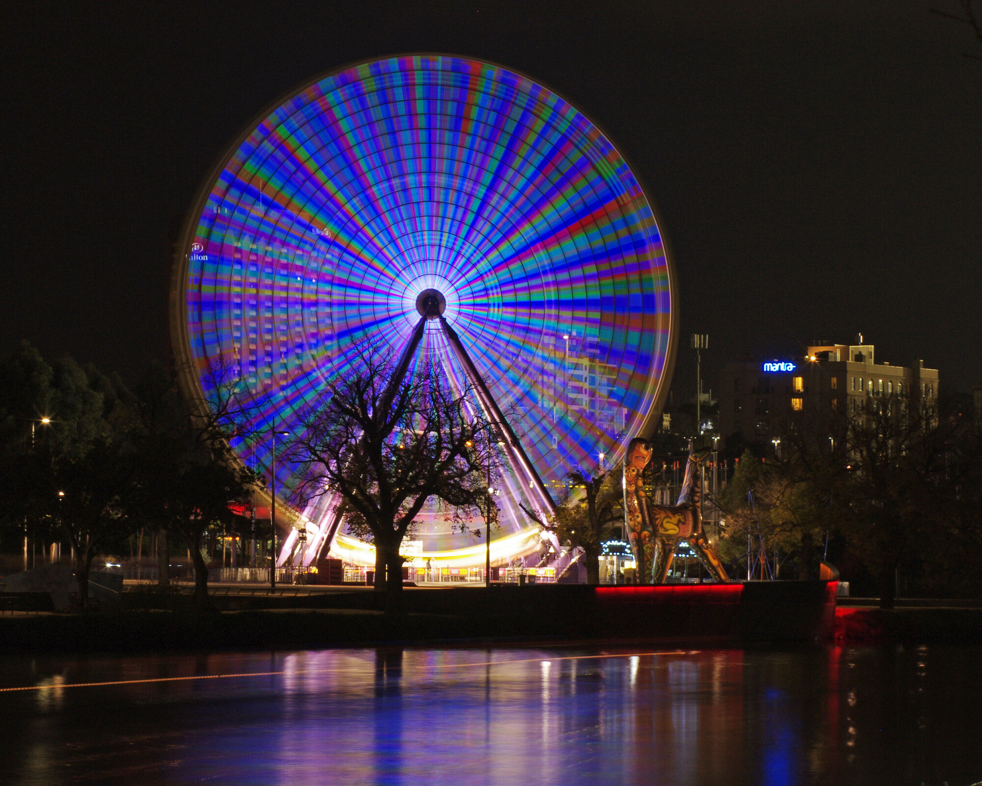 Ferris Wheel at night