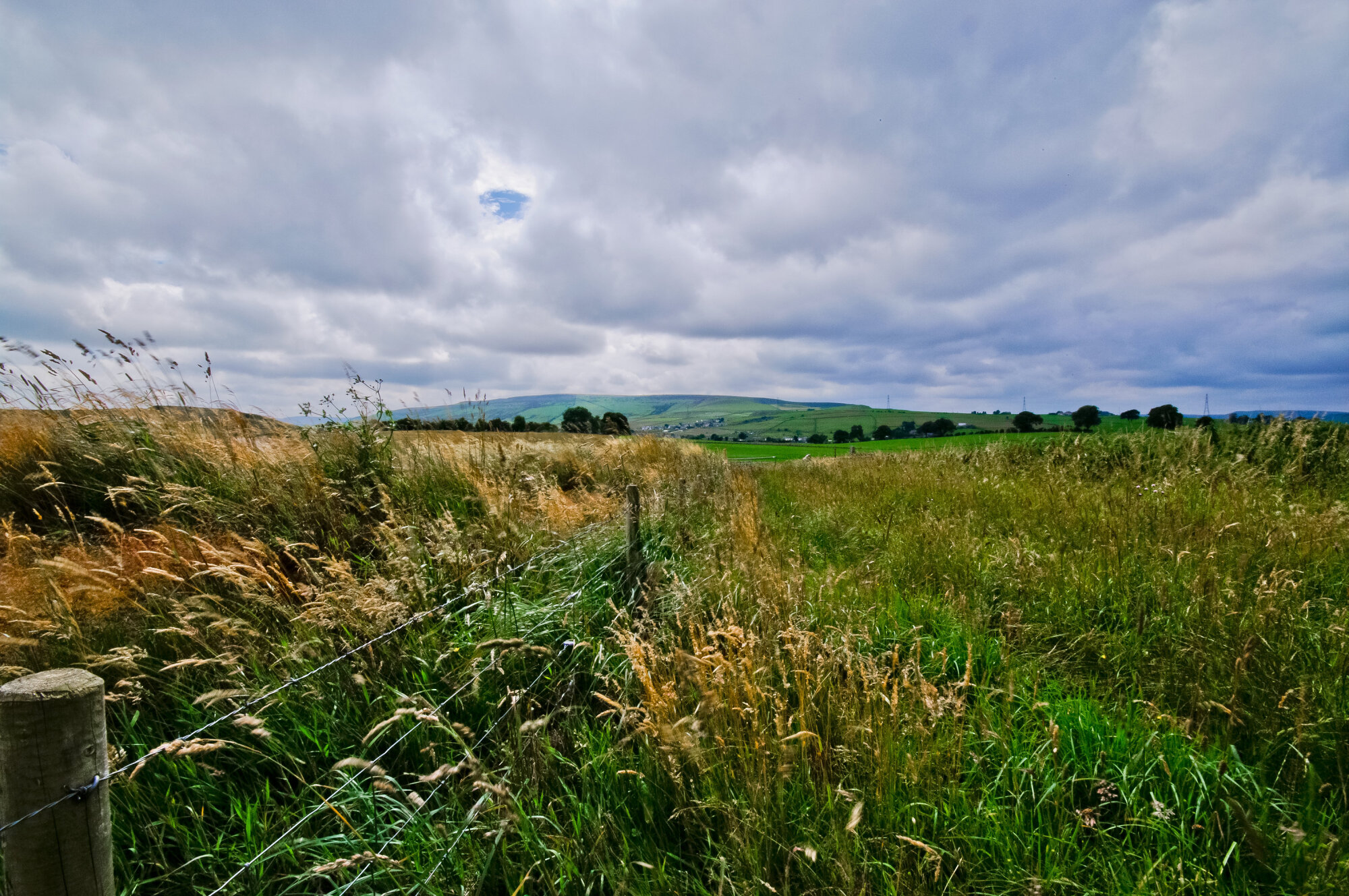 Landscape