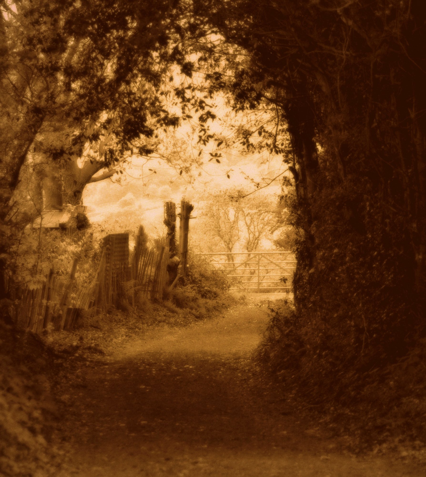 Into the light