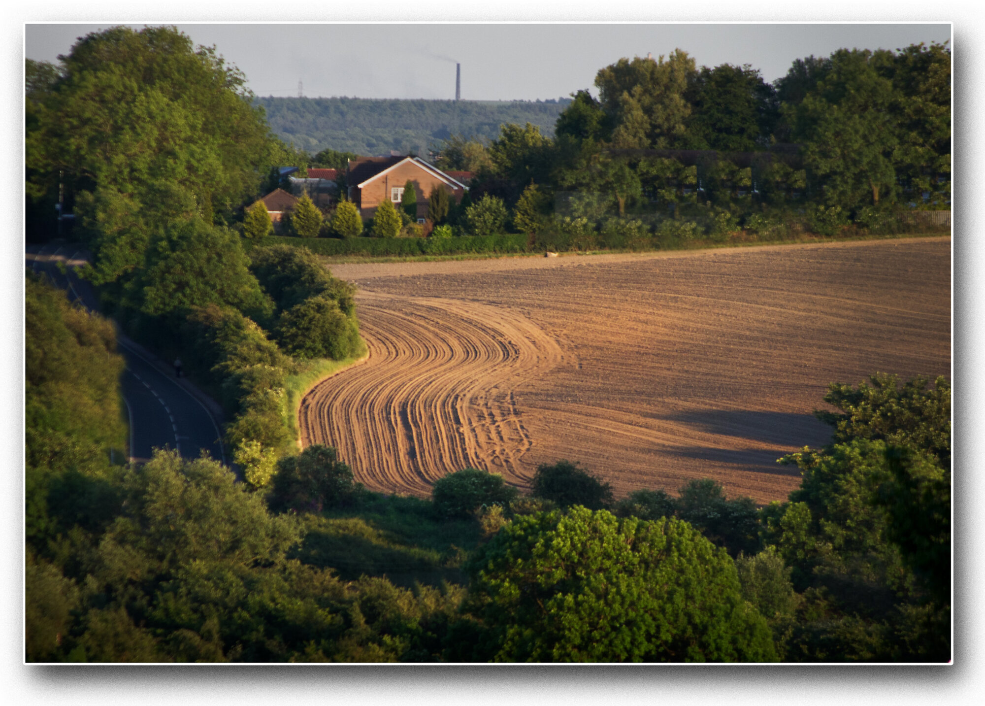 Lines