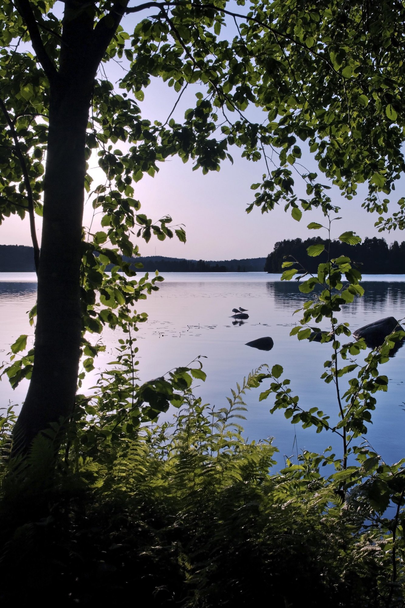Midnight Sun... well, almost