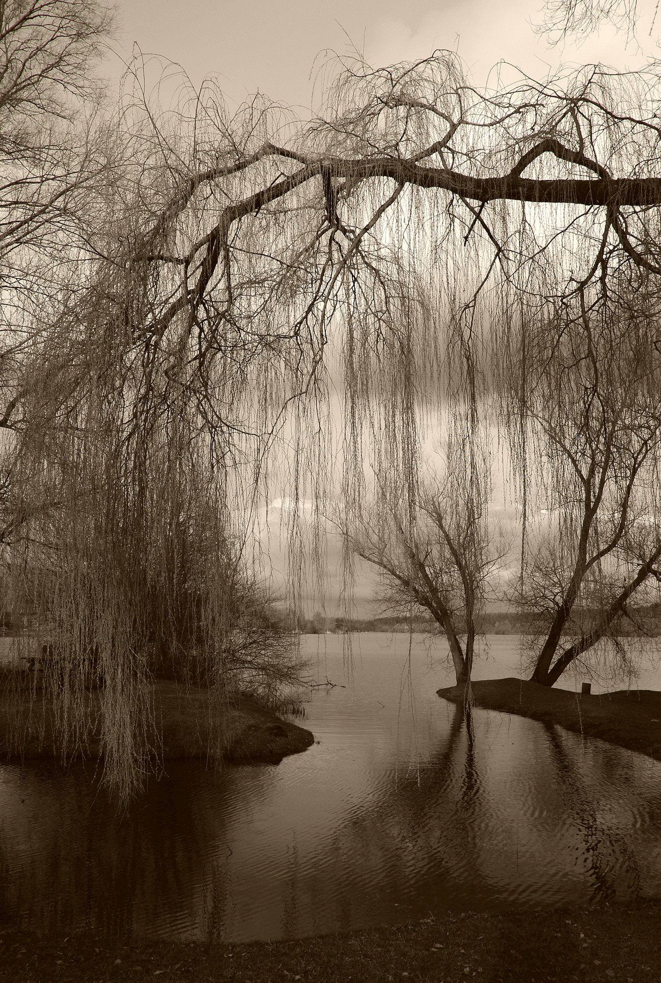 sweet solitude