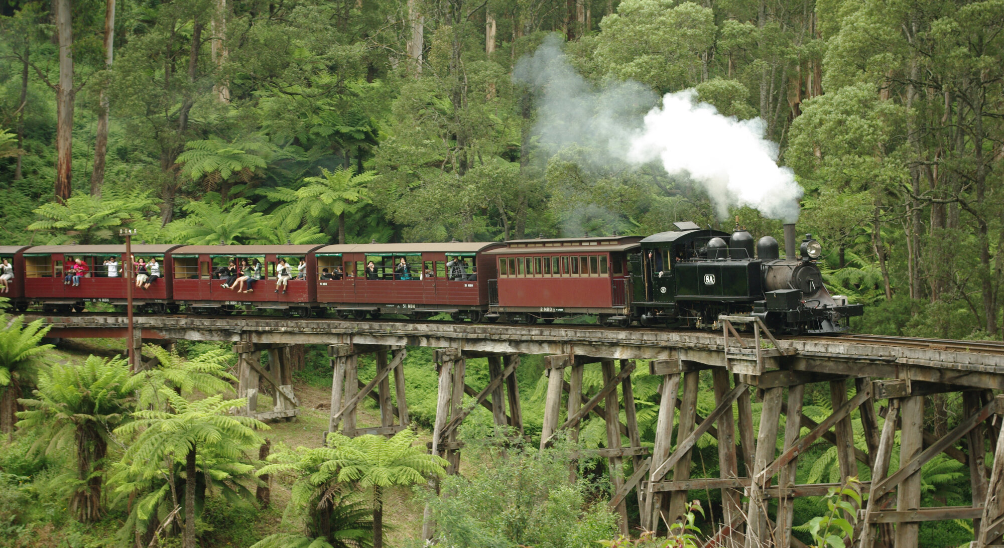 The Puffing Billy