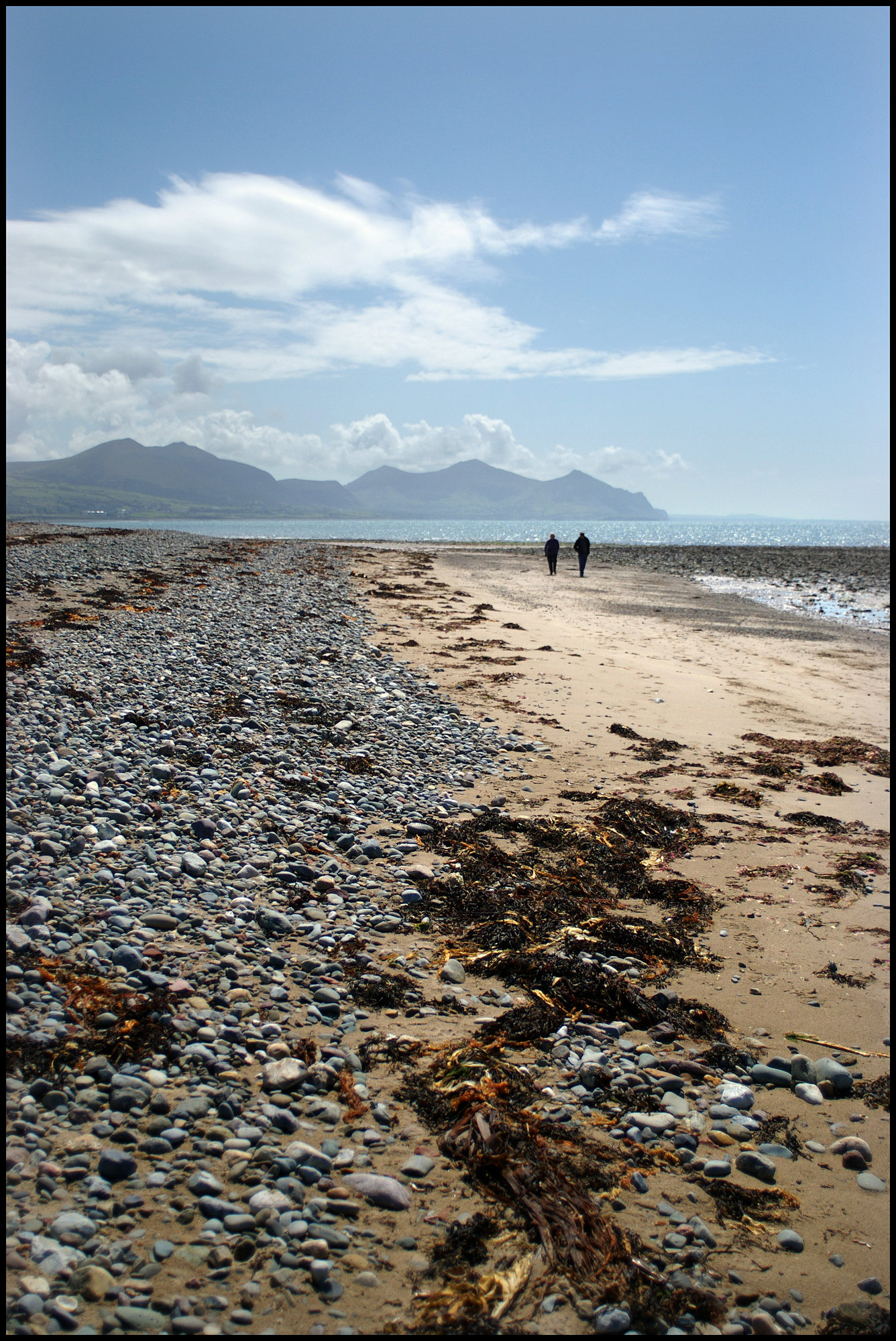 Tide Wrack