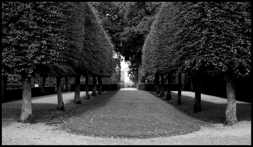 Clipped trees, Hidcote Manor Gardens, Glous.