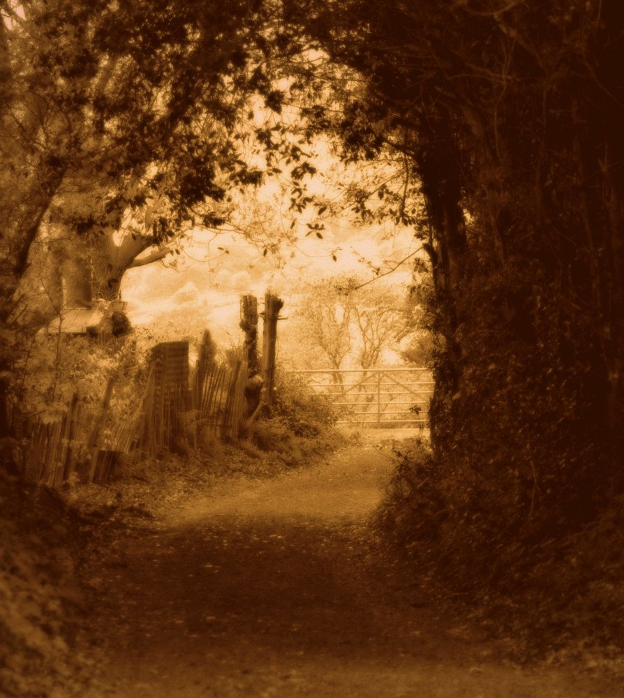 Into the light