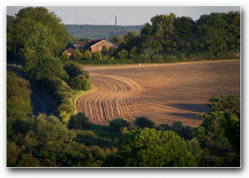 Lines