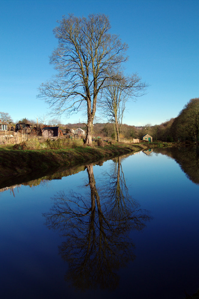 Reflections