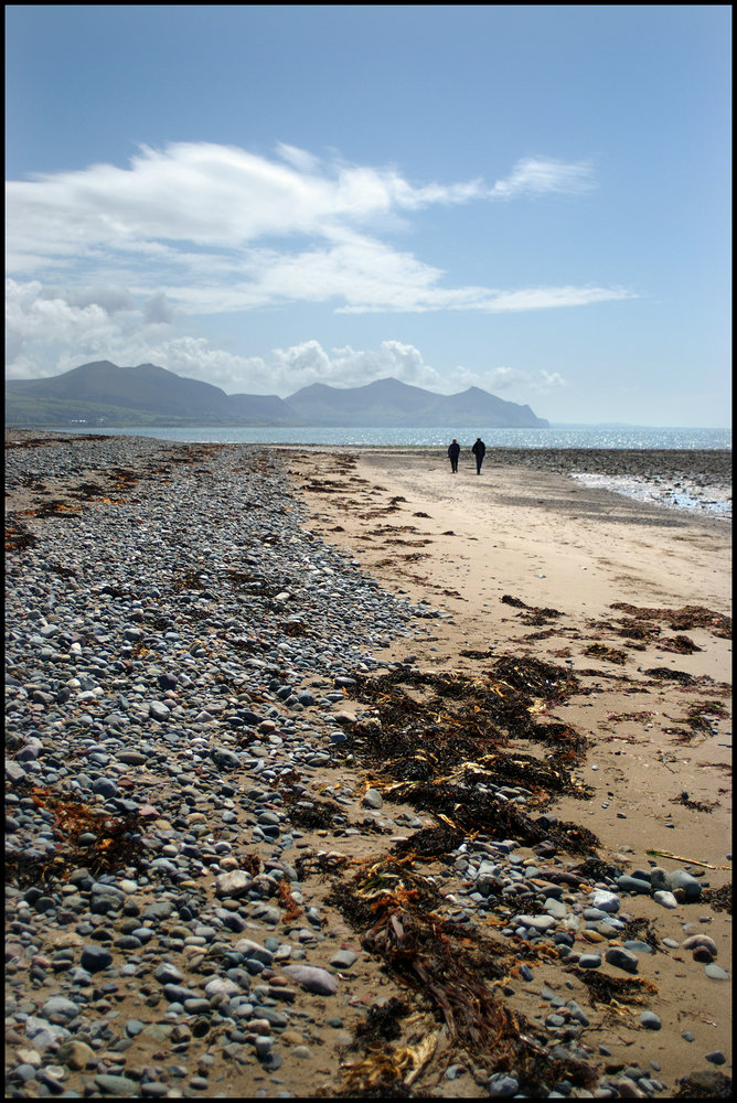 Tide Wrack