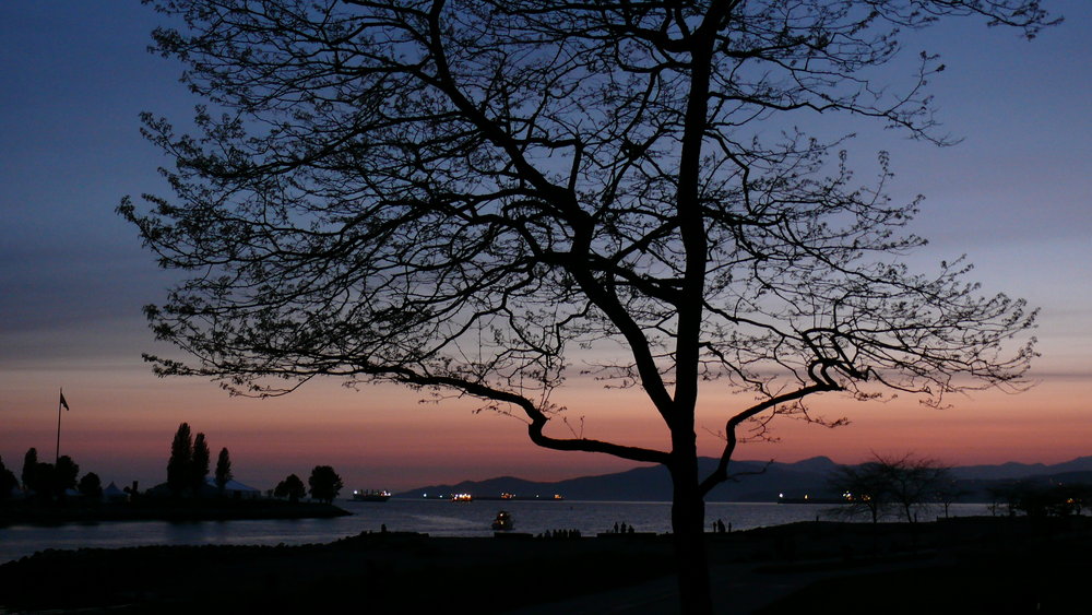 Tree of Life