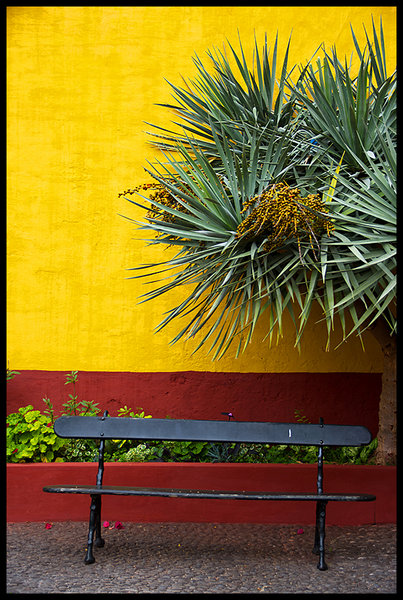 Bold bench