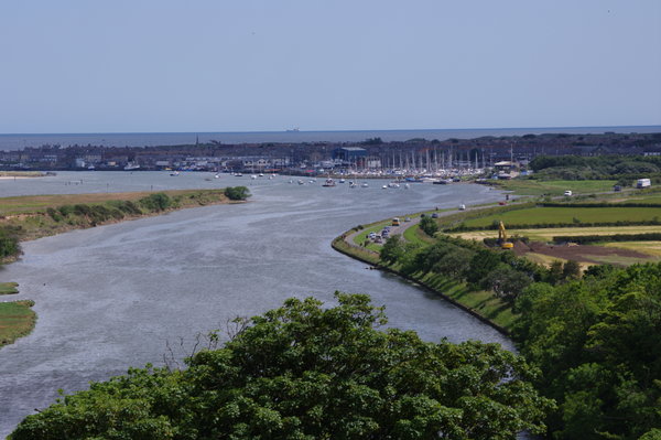 Coquet