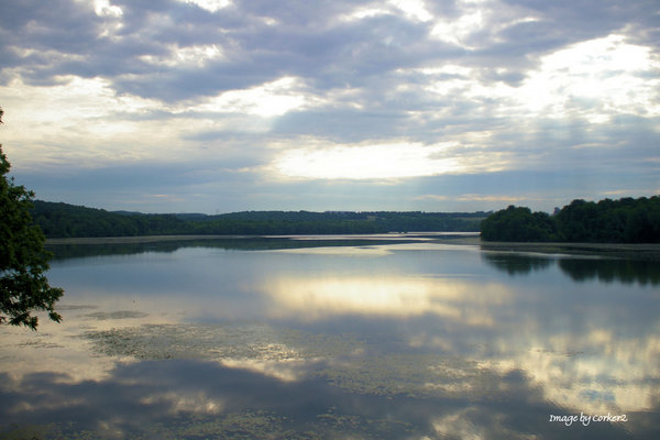 Early Morning