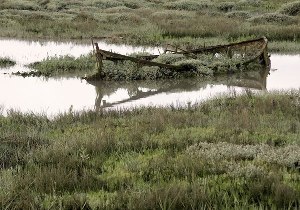 Forgotten Boat