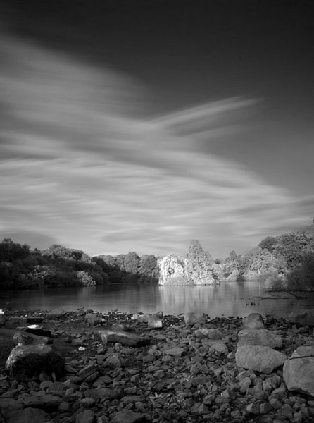 Golden Acre Park BW