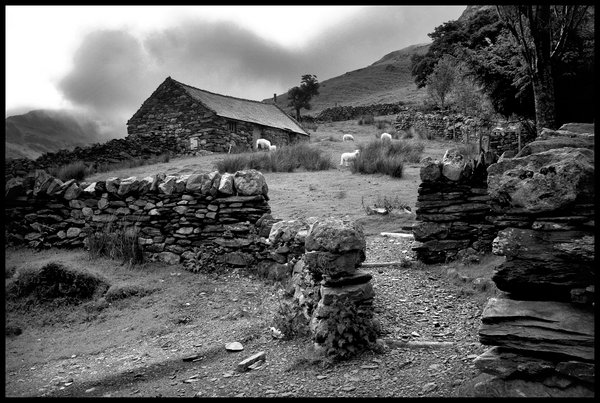 Hafod