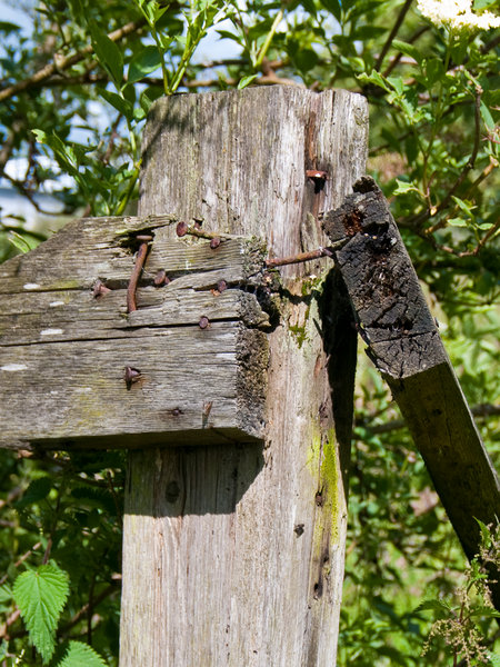 Old Fence