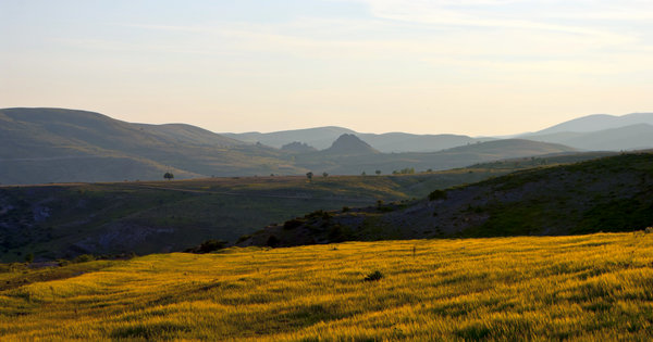 Rolling Hills