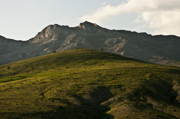 Silky and Craggy
