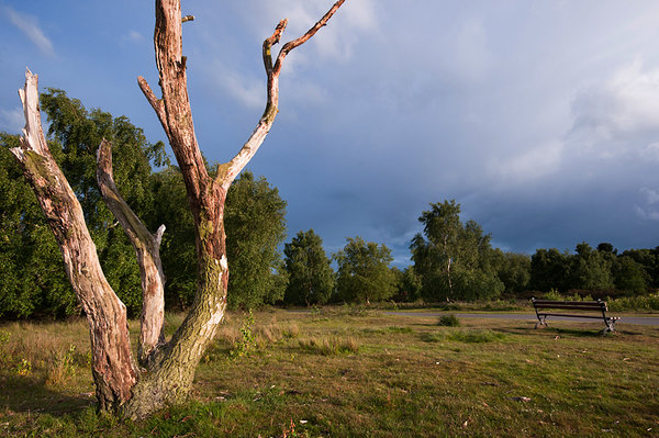 Sutton Park, Birmingham