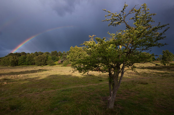 Sutton Park, Birmingham