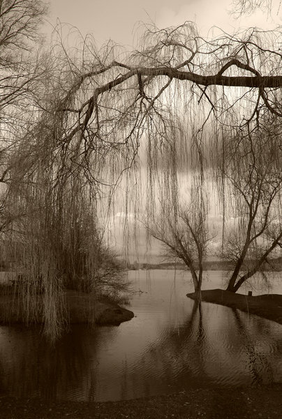 sweet solitude