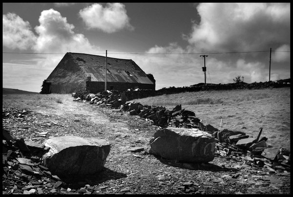 The Cutting Shed