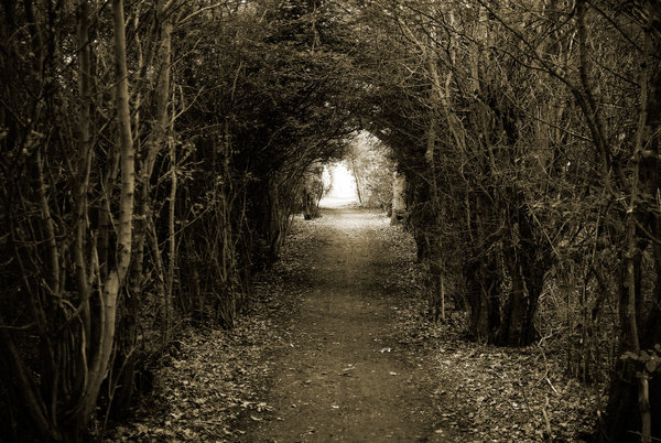 The Pathway
