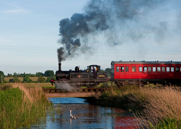The Swans watch the train go by.