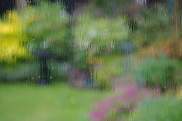 THROUGH THE RAIN WINDOW