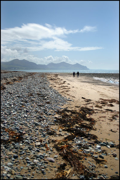Tide Wrack
