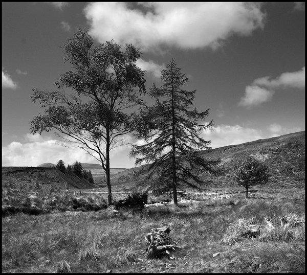Welsh Landscape