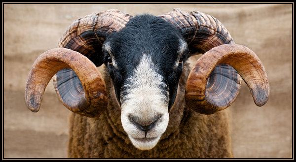 You lookin' at me