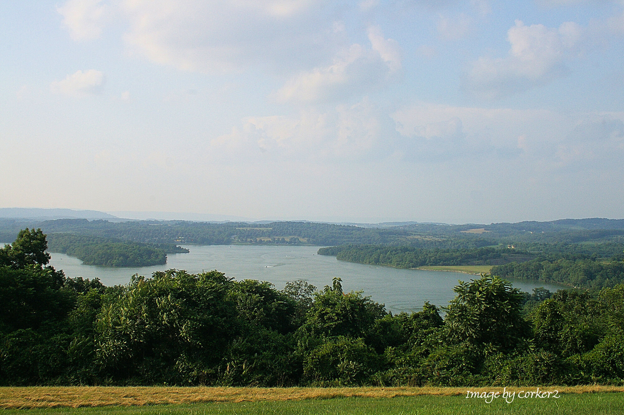 Blue Marsh Over-look