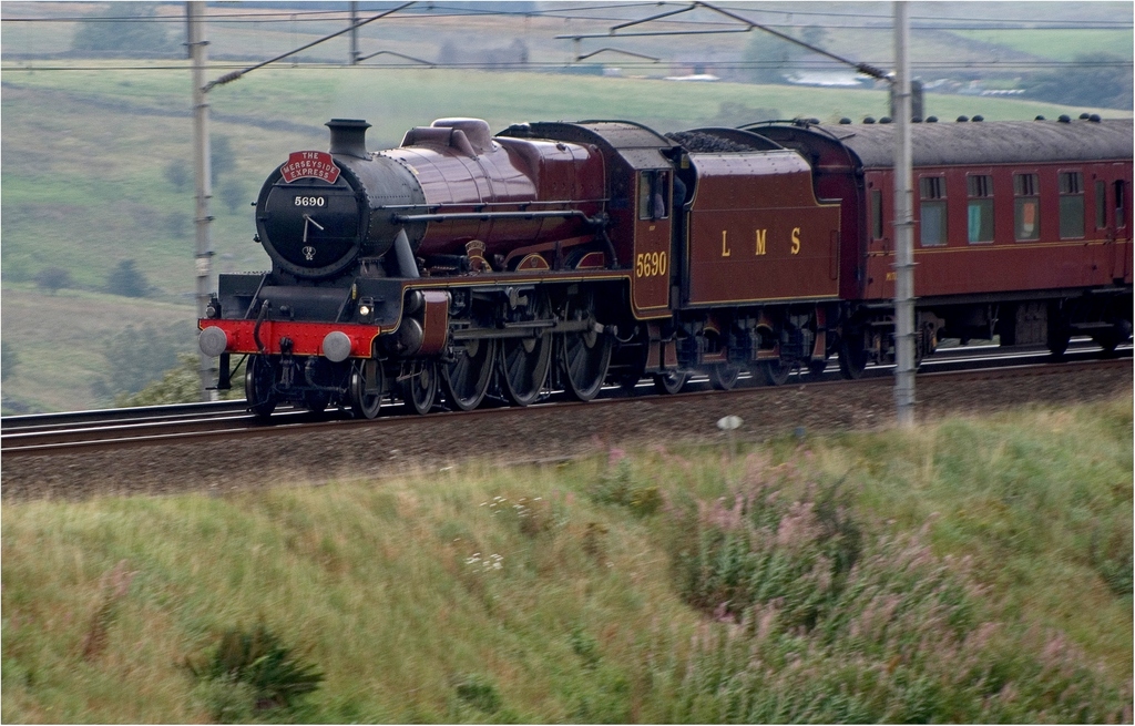Leander at Shap