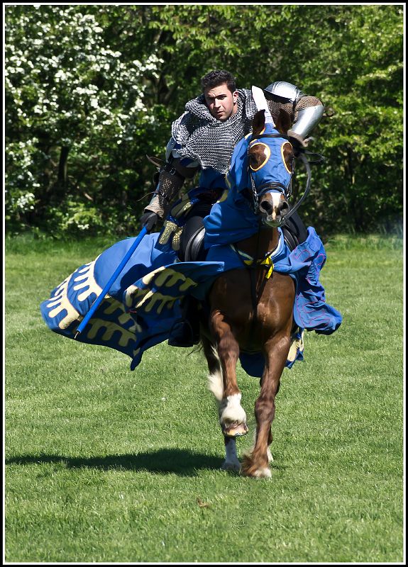 Blue Knight
