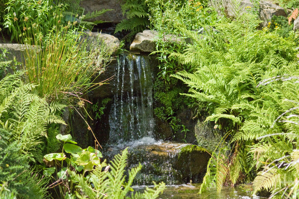 Botanical Gardens, Sheffield