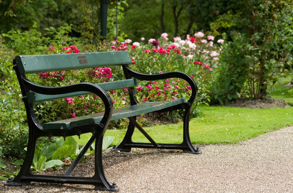 Bench