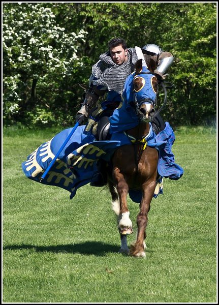 Blue Knight
