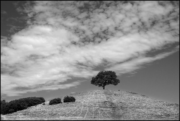 Burrow Hill, Somt.