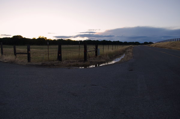 evening walk